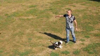 Ağır çekim, Sevimli genç köpek sahibi ve güneşli kırsal kesimde yok edilen bir oyuncak ile çalış.