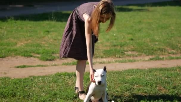 Chica jugando con su perro — Vídeos de Stock