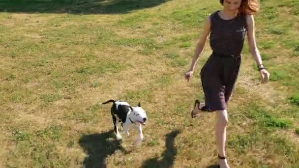 그녀의 강아지와 함께 재생 하는 여자 — 비디오