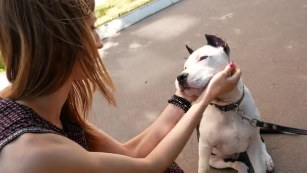 Menina brincando com seu cão — Vídeo de Stock