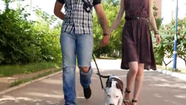 Dolly schot van studenten van de vrolijke mensen wandelen met de hond in stadspark — Stockvideo