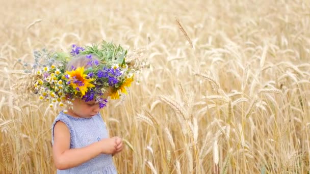 Kaukasisches Mädchen in einem Blumenfeld. ein Kind auf einem Feld auf dem Land. Porträt eines Mädchens aus nächster Nähe. — Stockvideo