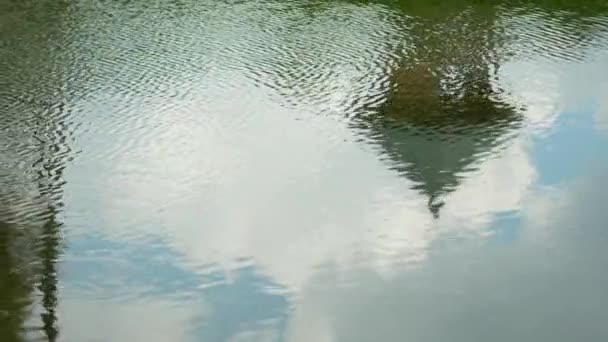 La pluie tombe sur la surface de la piscine. Fond naturel, jour d'automne nuageux . — Video