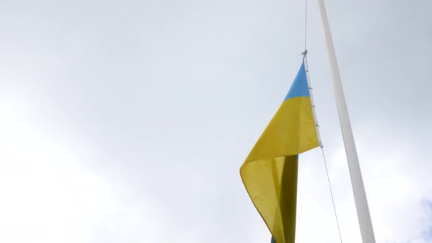 Flagga Ukraina Sky — Stockvideo