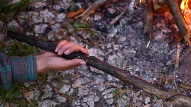 La mano de una joven sostiene una rama carbonizada — Vídeos de Stock