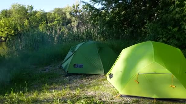 Tentes touristiques dans une forêt verte — Video