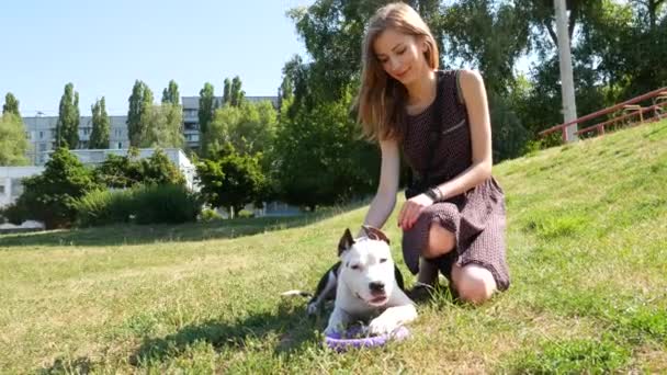 Menina brincando com seu cão — Vídeo de Stock