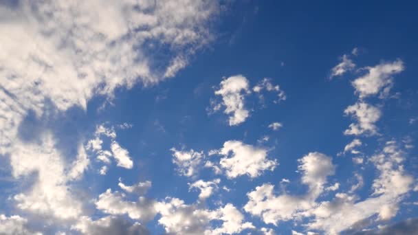 Nuvens brancas fofas sobre o céu azul — Vídeo de Stock