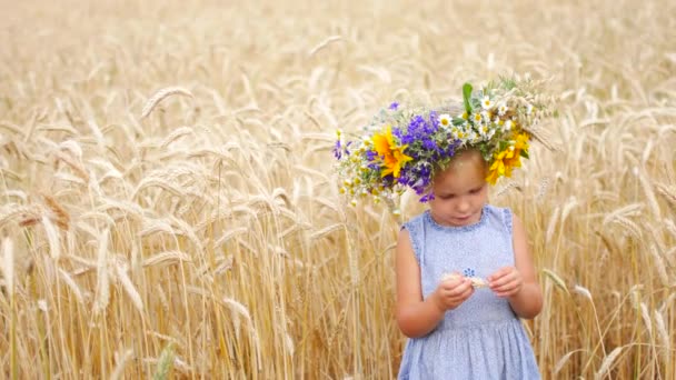 白人女孩在一个领域的花朵。乡下的田野里的孩子。一个女孩的肖像特写. — 图库视频影像