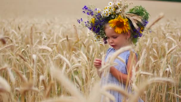 Kaukasische meisje op een gebied van bloemen. Een kind in een veld op het platteland. Portret van een meisje close-up. — Stockvideo