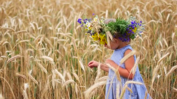 Menina caucasiana em um campo de flores. Uma criança num campo no campo. Retrato de uma menina de perto . — Vídeo de Stock