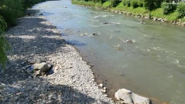 Berg rivier in de Karpaten. Modderige vuil water stroomt door de rotsen. — Stockvideo