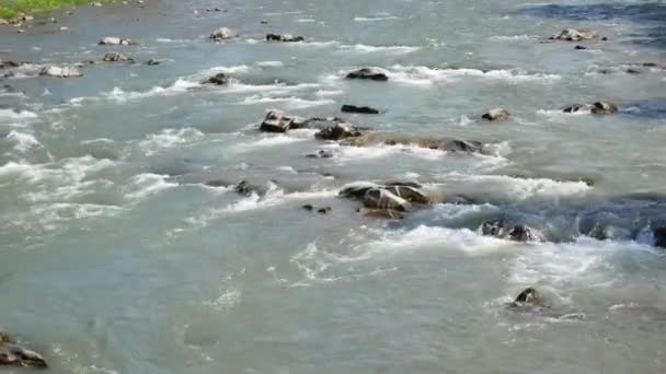 Berg rivier in de Karpaten. Modderige vuil water stroomt door de rotsen. — Stockvideo