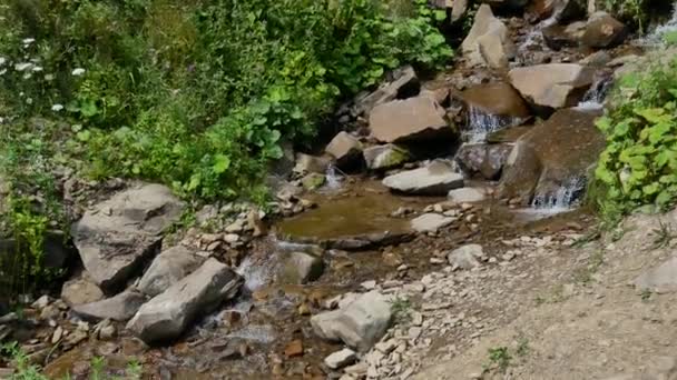 Wasser im wunderschönen Gebirgsfluss fließt in Zeitlupe um einen großen Stein. — Stockvideo