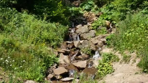 El agua en el hermoso río de montaña fluye alrededor de una gran piedra en cámara lenta . — Vídeo de stock