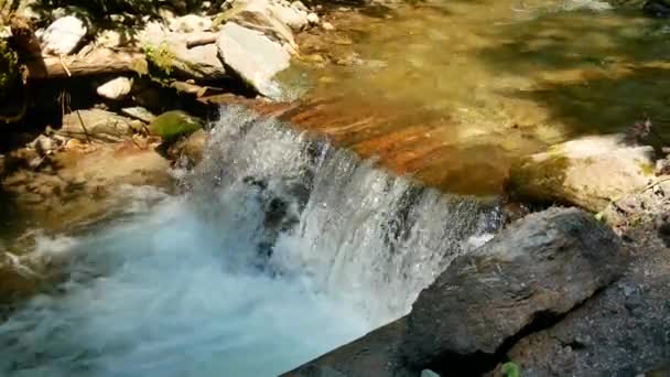 Cascada de agua dulce pura en el bosque — Vídeos de Stock
