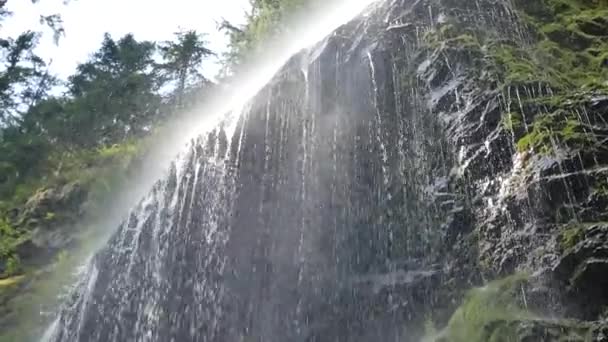 Beautiful waterfall in the Carpathians. Shooting from the bottom — Stock Video