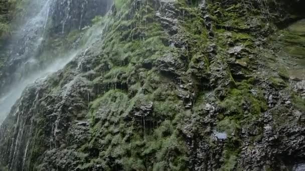 Prachtige waterval in de Karpaten. Schieten vanaf de onderkant — Stockvideo