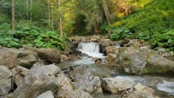 Cascada de agua dulce pura en el bosque — Vídeos de Stock
