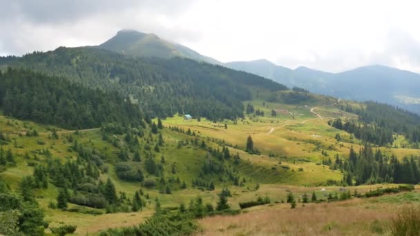 Montagne carpatiche, Ucraina. Video del paesaggio. Video della natura. 4K — Video Stock