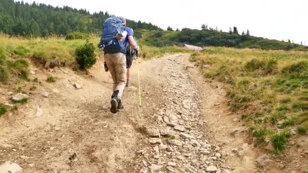 Pasangan pejalan kaki menikmati pemandangan alam yang indah. Perjalanan liburan musim panas. Backpackers trekking mountains summer hike . — Stok Video