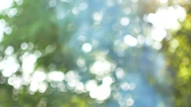 Beyaz duman yükselir. Ormanda ateş. Açık rekreasyon. Yaz saati. Ağaçlar yeşil yaprakları. Arka planda 4k.