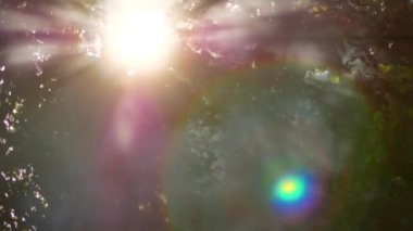 Beyaz duman yükselir. Ormanda ateş. Açık rekreasyon. Yaz saati. Ağaçlar yeşil yaprakları. Arka planda 4k.