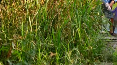 Babası kızı nasıl balık ve yem öğretim