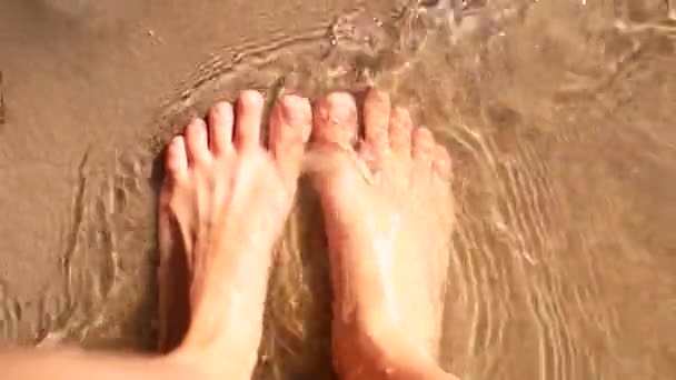 Barefooted female legs on the beach — Stock Video
