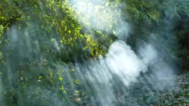 La fumée blanche monte. Le feu dans les bois. Loisirs extérieurs. L'heure d'été. Les feuilles vertes des arbres. Contexte en 4K . — Video