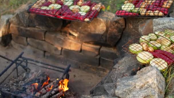 Vegetarian barbecue. Vegetables and a fire in the country. — Stock Video