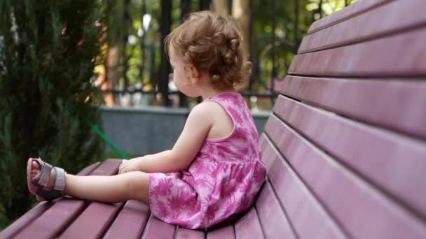 Pequena Criança Feliz Sorrindo Brincando Parque Banco — Vídeo de Stock