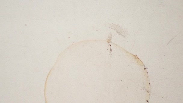 Spuren von einer Tasse Kaffee auf einer weißen Oberfläche — Stockvideo