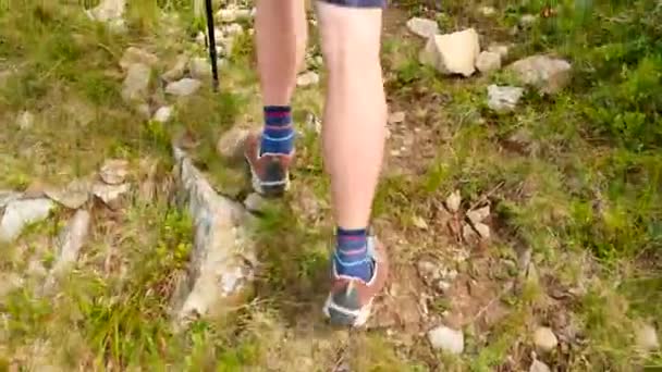 Hiker in close-up slow motion leg shot walks uphill in the forest in autumn. — Stock Video