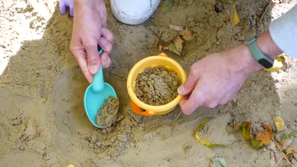 O pai deita areia num balde de brinquedos. Sandbox, um homem ajuda uma criança — Vídeo de Stock