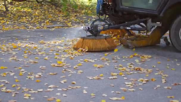 Limpiando hojas en el otoño. Limpieza de máquinas de asfalto — Vídeo de stock