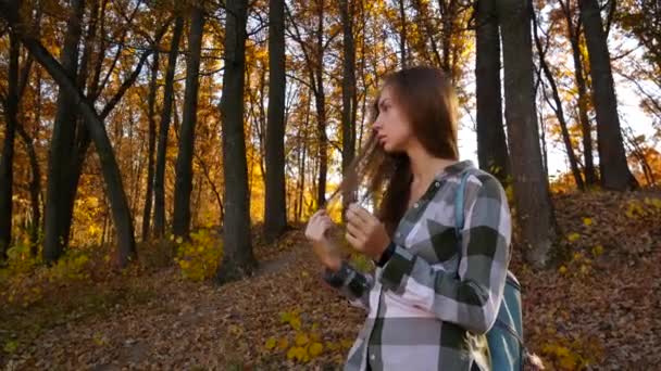 Mujer de otoño caminando en el bosque de otoño mirando a su alrededor divirtiéndose sonriendo en hermoso follaje colorido del bosque. Chica en bosque amarillo . — Vídeos de Stock