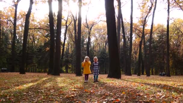 Pequenas meninas corre para a mãe através de incrível beco de outono no parque slow mo — Vídeo de Stock