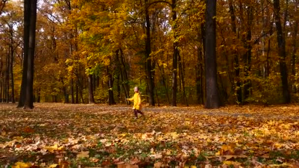 Kind spielt im Herbstpark. Herbstlaub. Outdoor-Spaß im Herbst. — Stockvideo