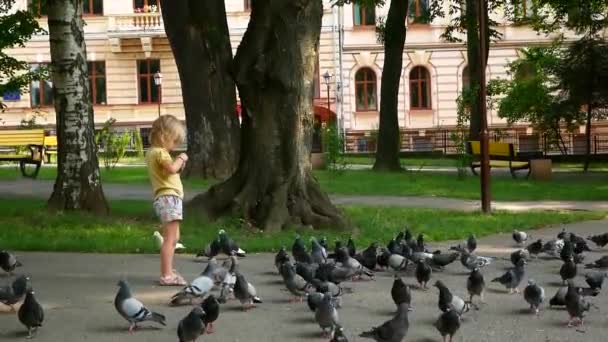 Dziecko karmi gołębie. Gołębie jedzą, dziecko patrzy na nich. — Wideo stockowe