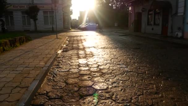 Прогулянка на мокрій кам'яній вулиці — стокове відео