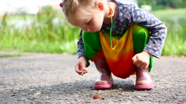 Childs χέρι αγγίζει σαλιγκάρι. — Αρχείο Βίντεο