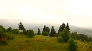 Karpat Dağları Sisli sabah manzaraya. Ukrayna hedefleri ve doğa.