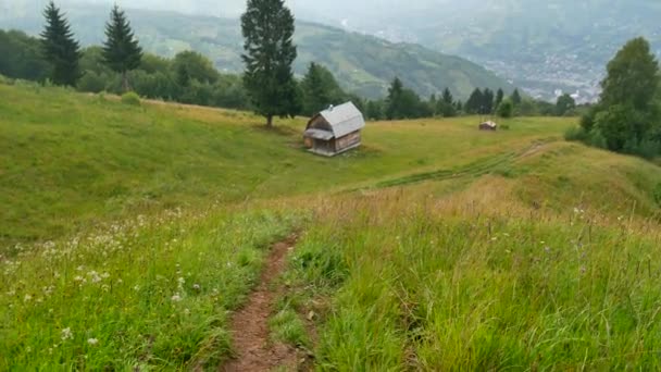 Mglisty poranek krajobraz w Karpatach. Ukraina i Natura — Wideo stockowe