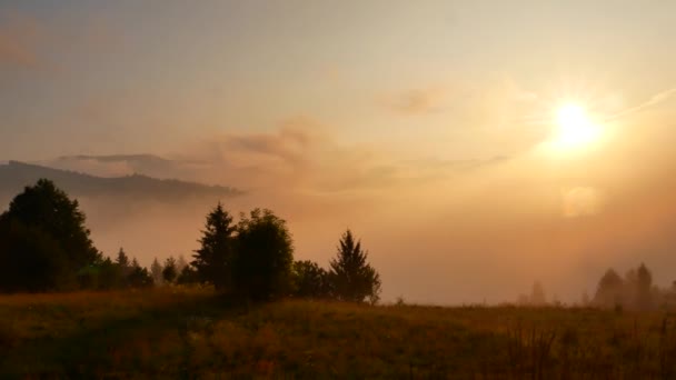 Carpathians에서 새벽입니다. 우크라이나. — 비디오