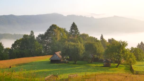 Pohled na mraky z vysokohorských horské panorama nad mraky mraky nad hory v létě karpatských hor a luk — Stock video