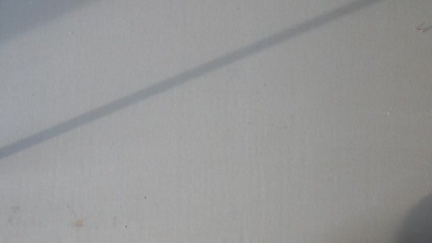 Remise au point de traitement. récipients en plastique .