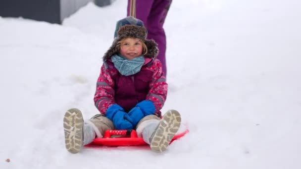 家庭在冬季公园散步。父母与孩子在雪橇上 — 图库视频影像