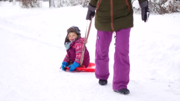 Passeggiate in famiglia in un parco invernale. Genitori con bambino sulla slitta — Video Stock