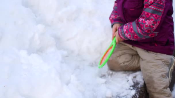 Peuter op knieën graven in de sneeuw — Stockvideo